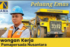 PT PAMA Buka Lowongan Kerja! Pendaftaran Sampai Tanggal 14 Nopember 2024