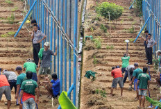 Warga Binaan Lapas Muara Enim Budidaya Semangka untuk Memperkuat Program Ketahanan Pangan