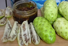 Pernah Mencoba Rujak Mengkudu? Rasakan Sensasi dan Manfaatnya!