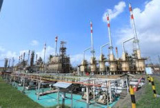 Sumsel: Magnet Investasi, Proyek Infrastruktur dan Energi Hijau Siap Dukung Pembangunan Global!