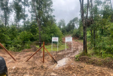 Langkah Tegas PTBA Berantas Penambang PETI