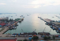 Pelabuhan Baru Palembang: Sumsel Jadi Poros Ekspor & Logistik Nasional