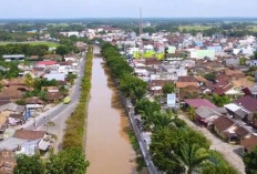 Dari Bendungan Perjaya ke Lumbung Padi, OKU Timur Tumbuh Jadi Kekuatan Baru Sumsel