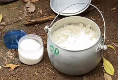 Inilah Kelebihan Menanak Nasi Menggunakan Periuk dan Kayu Bakar