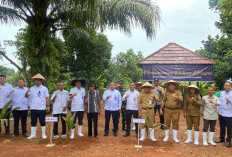 Dukung Program Ketahanan Pangan, Tanam Pohon Kelapa