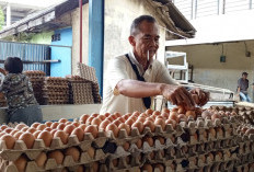 Jelang Ramadhan Harga Sembako Stabil