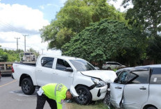 Gagal Nyalip, Avanza-Hilux Adu Kambing