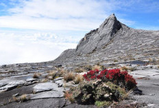 Ini Gunung Tertinggi di Indonesia, Berada di 4.884 mdpl