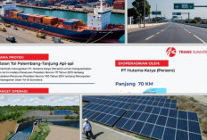 Model Pembangunan Berkelanjutan Tercermin dari Deret PSN di Sumsel 