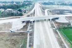 Tol Masa Depan Sumsel Dibuka: Mesin Baru Logistik, Investasi, dan Ekonomi Hijau Sumatera