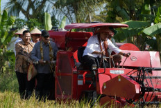 Wamentan RI dan Pj Bupati Panen serta Tanam Perdana Padi di Muara Belida