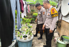 Dukung Program Ketahanan Pangan, Manfaatkan Pekarangan Rumah