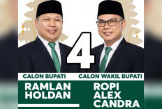 Profil dan Perjalanan Karier Ramlan Holdan, Cabup Muara Enim No 4 dari Pasangan RAPI di Pilkada 2024