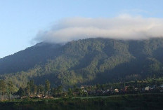 Di bawah Kaki Bukit Barisan, Diketinggian 1.200 Mdpl. Ini Desa Wisata Kaya Adat dan Budaya di Pagaralam