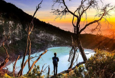 Kawah Putih Ciwidey: Pesona Alam dan Wisata di Ketinggian Bandung