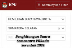 Hasil Sementara Penghitungan Suara Pilkada Serentak 2024, Disini Ceknya Resmi dan Valid!