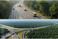 Terjadi Revolusi di Sumsel: 4 Jalan Tol Raksasa Baru Akses Cepat Memutar Ekonomi Indonesia