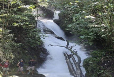 Air Terjun Tujuh Panggung Empat Lawang: Keajaiban Bertingkat di Atap Bukit Barisan