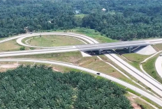 15 Mega Proyek Strategis Nasional Ubah Sumsel  Jadi Pusat Ekonomi Hijau & Industri Masa Depan Indonesia