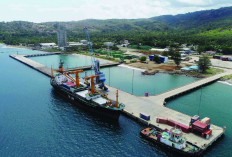 Pelabuhan Tanjung Carat & Jalan Tol Jadi Kunci, Ekonomi Sumsel Diproyeksi Tumbuh 