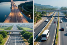 Sumsel Poros Emas Sumatera: 4 Tol Raksasa Lancarkan Komoditi Unggulan hingga Pariwisata