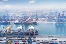 Pelabuhan Baru Sumsel: Mesin Ekspor Nasional yang Siap Mengangkat Ekonomi Indonesia