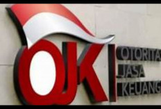 OJK Imbau Masyarakat Bijak Gunakan Layanan Paylater, Tekankan Pentingnya Kemampuan Bayar