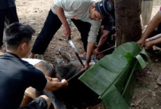 Mengapa Anak-Anak Dilarang Melihat Pemotongan Kurban?