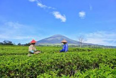 Wisata Sumsel Menantang: Perjalanan Jauh dan Dingin Ekstrem, Begini Cara Mengatasinya!