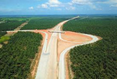 Sumsel Kombinasikan Infrastruktur dan Industri Hijau Dorong Pemerataan Ekonomi dan Inovasi Ramah Lingkungan