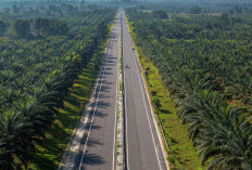 Tol Palembang-Betung Tumpuan Sumsel Harapan Sumatera 