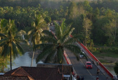 Berjarak 42 Km Ini Kecamatan Paling Padat di Kabupaten Lahat. Kecamatan  Penduduknya Paling Sedikit Apa?