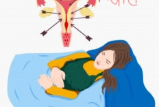 3 Alasan Mengapa Perempuan Haid Setiap Bulan Tetapi Laki-Laki Tidak