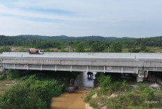 Buktikan Tol Bisa Harmonis dengan Konservasi Gajah Sumatra