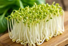 8 Manfaat Sayur Toge Untuk Kesehatan