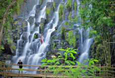 Wisata Sejuk Sumsel: Gunung Dempo & Danau Ranau Jadi Surga Liburan Pecinta Alam