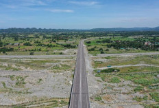 Tol Sumsel Jadi Game Changer: Dari Jalur Biasa ke Pusat Logistik Masa Depan