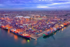 Pelabuhan Baru Palembang: Gerbang Emas Ekspor Sumsel Menuju Pusat Logistik Nasional