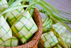 Kamu Wajib Tau, Begini Cara yang Benar Membuat Ketupat Lebaran