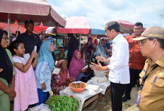 Presiden Jokowi Pastikan Stabilitas Harga di Pasar Lawang Agung Muratara