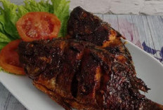 Resep Ikan Nila Bakar Madu Hanya Menggunakan Teflon