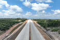 Transformasi Hijau Sumsel: Kota Modern, Tol, LRT, Energi Baru, dan Ekonomi Berkelanjutan