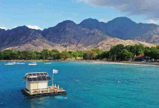 Desa Pemuteran Bali Mendunia! Raih Best Tourism Village 2025, Ini Daya Tariknya