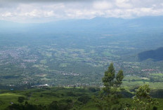 Tugu Rimau Pagaralam: Spot Sunrise & Sunset Instagramable di Atas Gunung Dempo