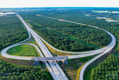 Ledakan Proyek Raksasa Sumsel: Jalan Tol & Investasi Ratusan Triliun Siap Ubah Ekonomi!