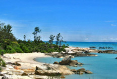 Bukan Pangkalpinang, Tapi Kabupaten Ini yang Paling Padat Penduduk di Bangka Belitung!
