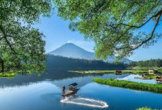 Cuma 19 Menit dari Wosobo, Wisata Telaga Menjer Tawarkan Keindahan Alam di Kaki Gunung Sindoro