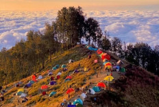 Pesona Pelawangan Sembalun: Gerbang Indah Menuju Puncak Rinjani