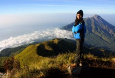 Puncak Syarif: Mengenal Sejarah dan Legenda Gunung Merbabu