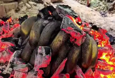 Inilah Kelebihan dan Kekurangan Konsumsi Pisang Bakar